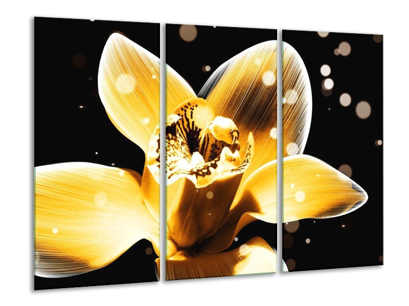 Canvas schilderij Bloem | Geel, Zwart | 120x80cm 3Luik
