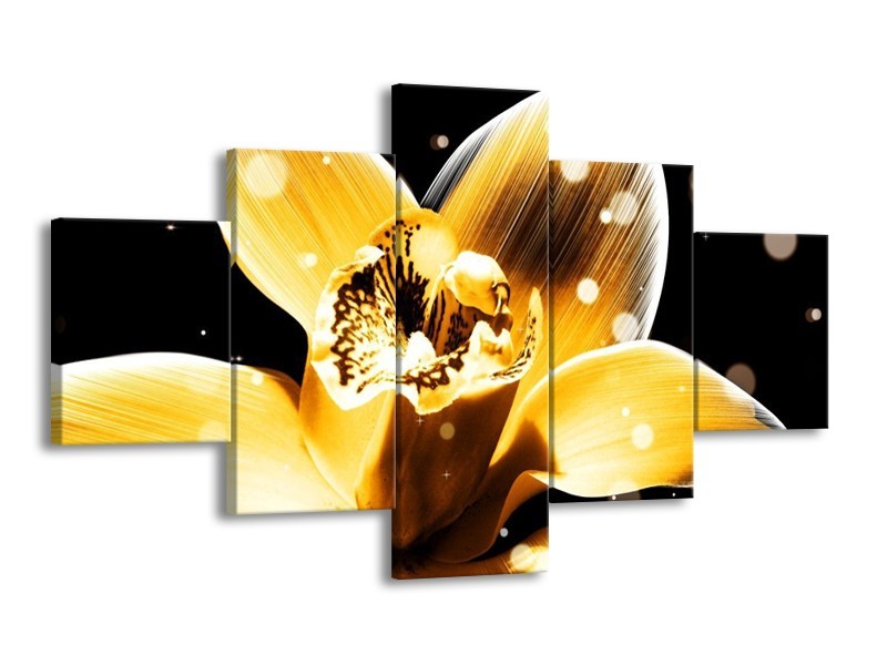 Canvas schilderij Bloem | Geel, Zwart | 125x70cm 5Luik
