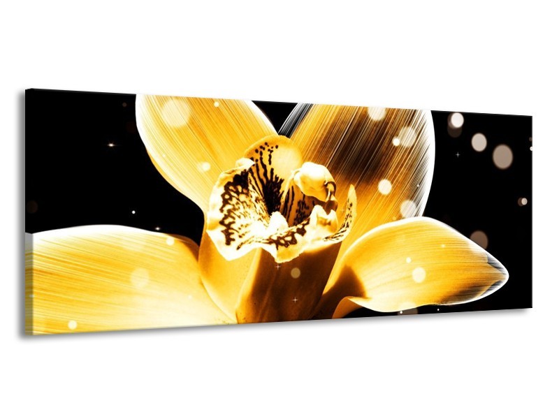 Canvas schilderij Bloem | Geel, Zwart | 145x58cm 1Luik