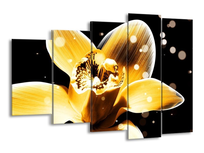 Canvas schilderij Bloem | Geel, Zwart | 150x100cm 5Luik