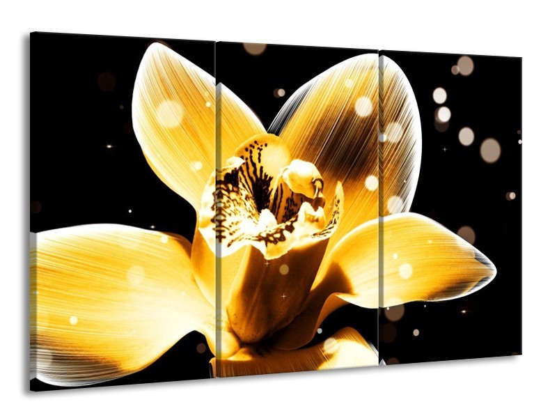 Canvas schilderij Bloem | Geel, Zwart | 165x100cm 3Luik
