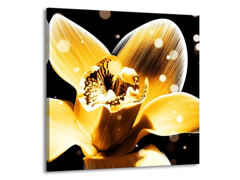 Canvas schilderij Bloem | Geel, Zwart | 50x50cm 1Luik
