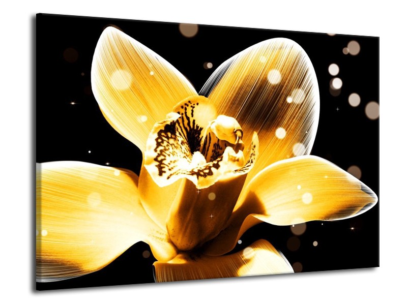 Canvas schilderij Bloem | Geel, Zwart | 70x50cm 1Luik