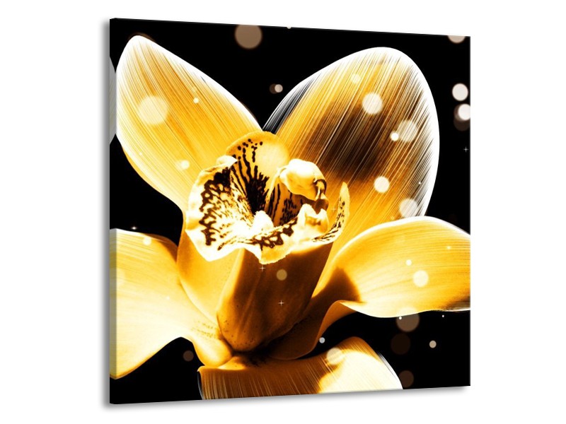 Canvas schilderij Bloem | Geel, Zwart | 70x70cm 1Luik