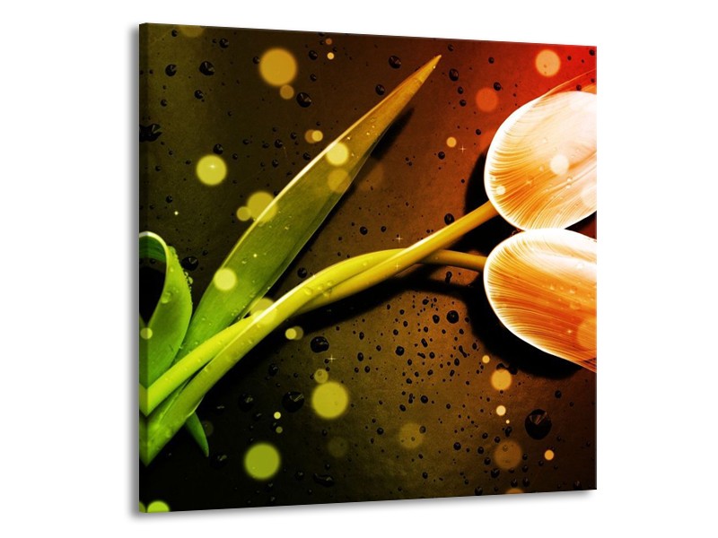 Canvas schilderij Tulp | Oranje, Groen, Rood | 50x50cm 1Luik