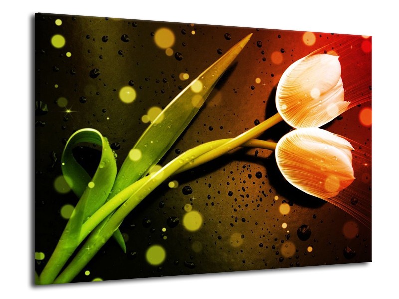 Canvas schilderij Tulp | Oranje, Groen, Rood | 70x50cm 1Luik