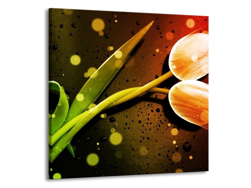 Canvas schilderij Tulp | Oranje, Groen, Rood | 70x70cm 1Luik