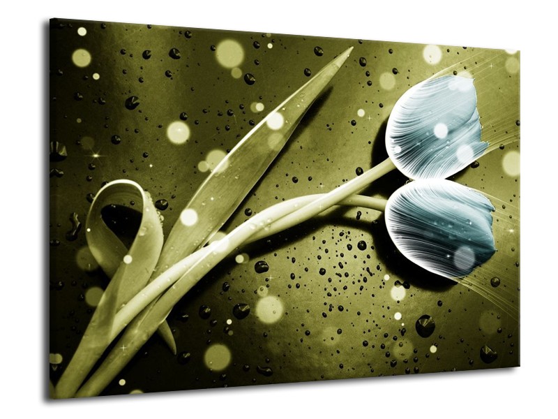 Canvas schilderij Tulp | Blauw, Groen, Grijs | 70x50cm 1Luik