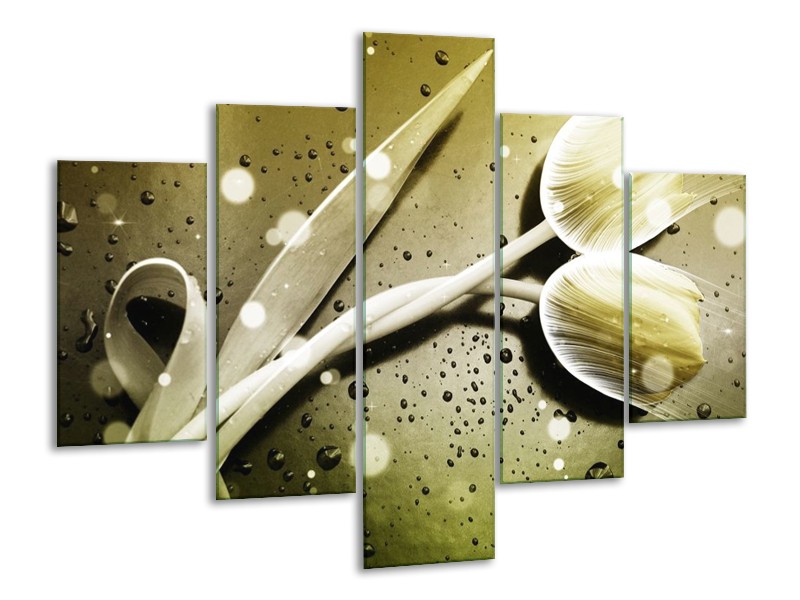 Canvas schilderij Tulp | Grijs, Wit | 100x70cm 5Luik