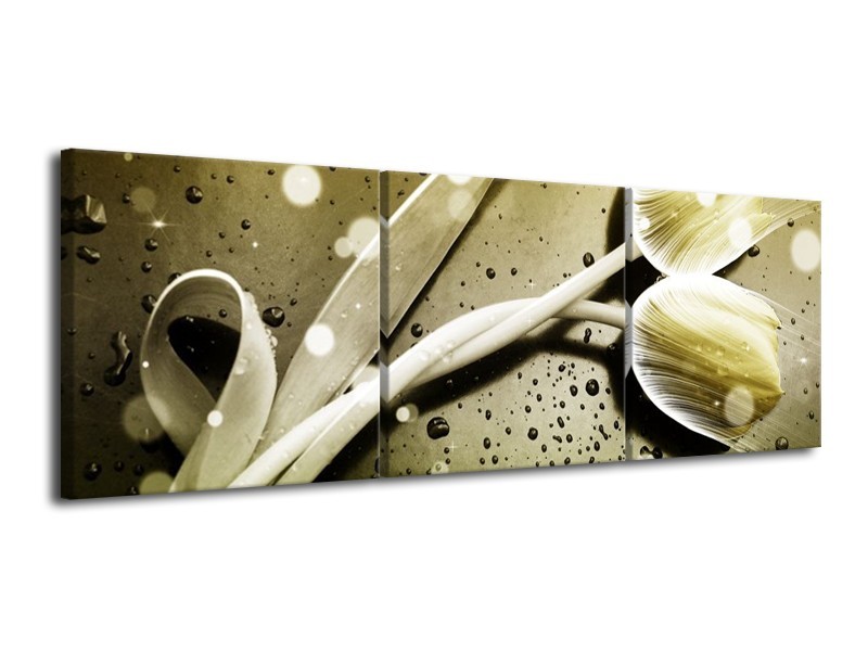Canvas schilderij Tulp | Grijs, Wit | 120x40cm 3Luik