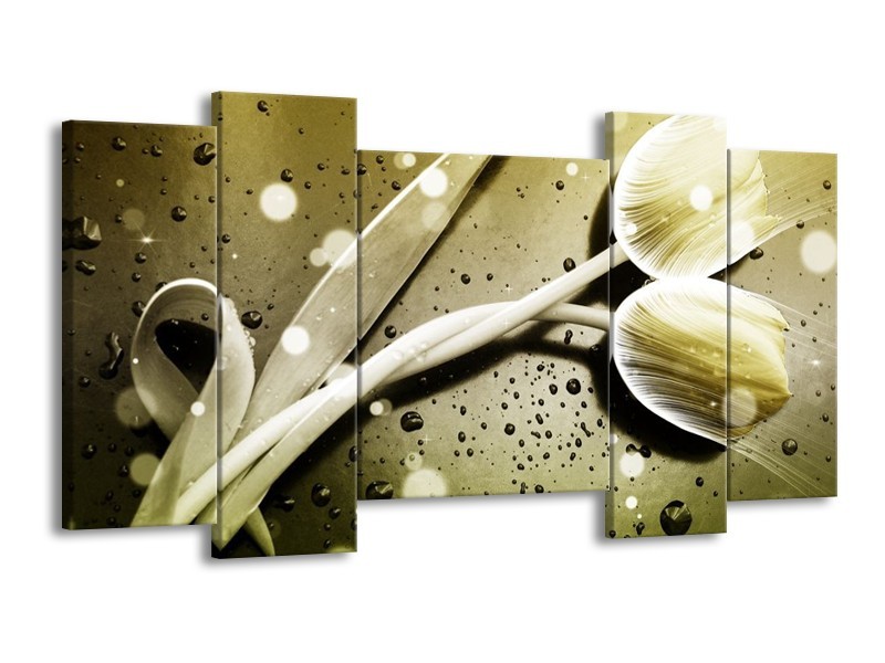 Canvas schilderij Tulp | Grijs, Wit | 120x65 5Luik