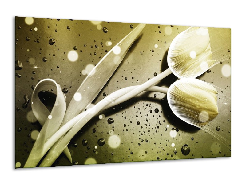 Canvas schilderij Tulp | Grijs, Wit | 120x70cm 1Luik