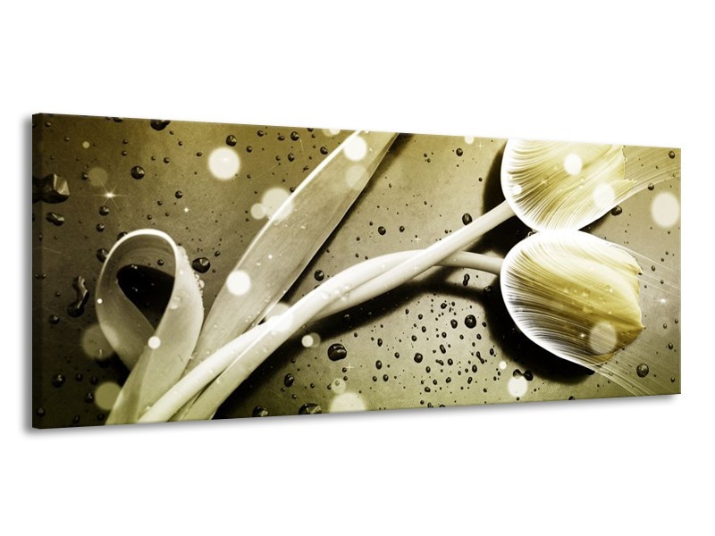 Canvas schilderij Tulp | Grijs, Wit | 145x58cm 1Luik