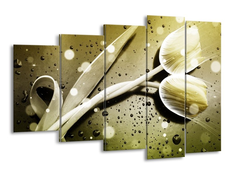 Canvas schilderij Tulp | Grijs, Wit | 150x100cm 5Luik