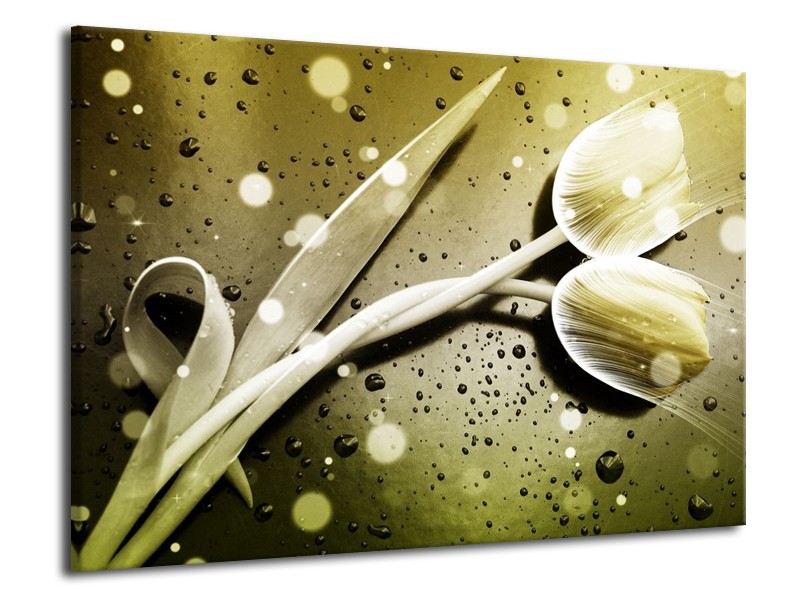Canvas schilderij Tulp | Grijs, Wit | 70x50cm 1Luik