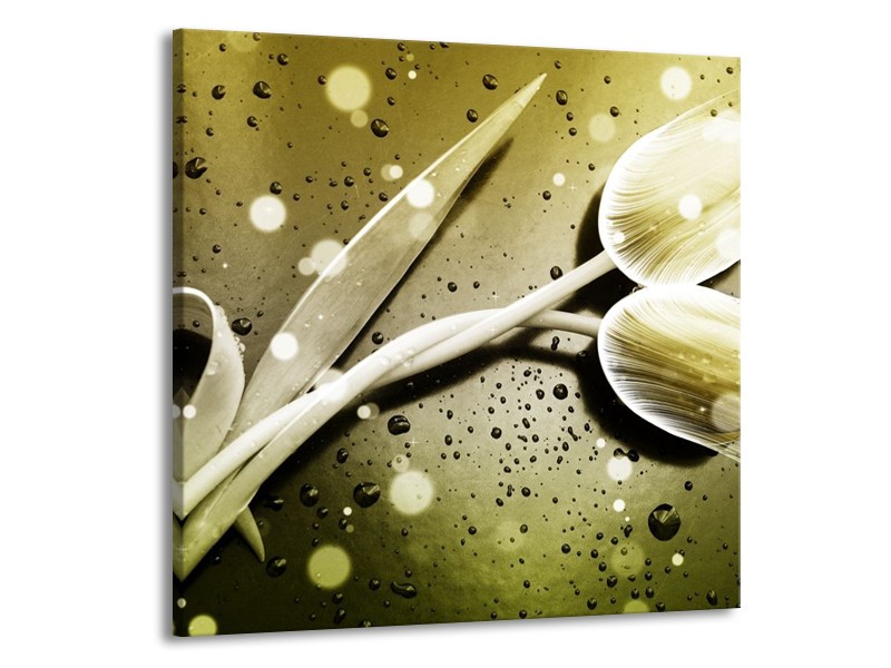 Canvas schilderij Tulp | Grijs, Wit | 70x70cm 1Luik