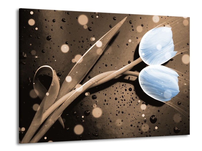 Canvas schilderij Tulp | Blauw, Grijs | 100x70cm 1Luik