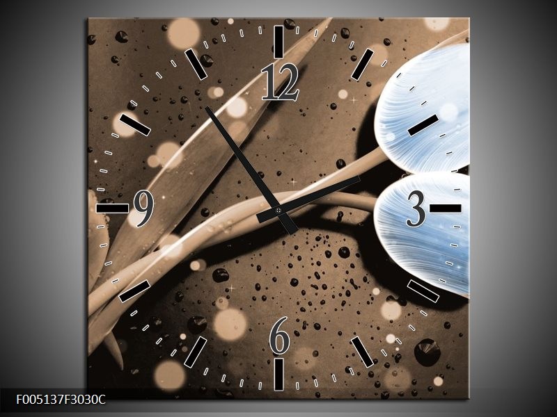 Klok schilderij Tulp | Blauw, Grijs | 30x30cm 1Luik