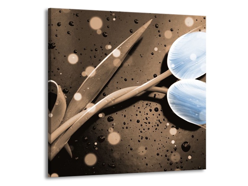 Canvas schilderij Tulp | Blauw, Grijs | 50x50cm 1Luik