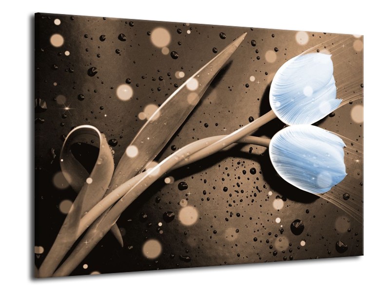 Canvas schilderij Tulp | Blauw, Grijs | 70x50cm 1Luik