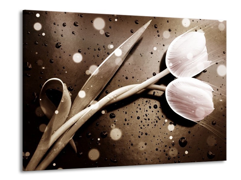 Canvas schilderij Tulp | Wit, Grijs | 100x70cm 1Luik