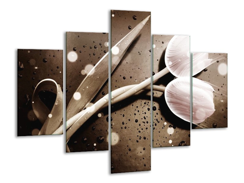 Canvas schilderij Tulp | Wit, Grijs | 100x70cm 5Luik