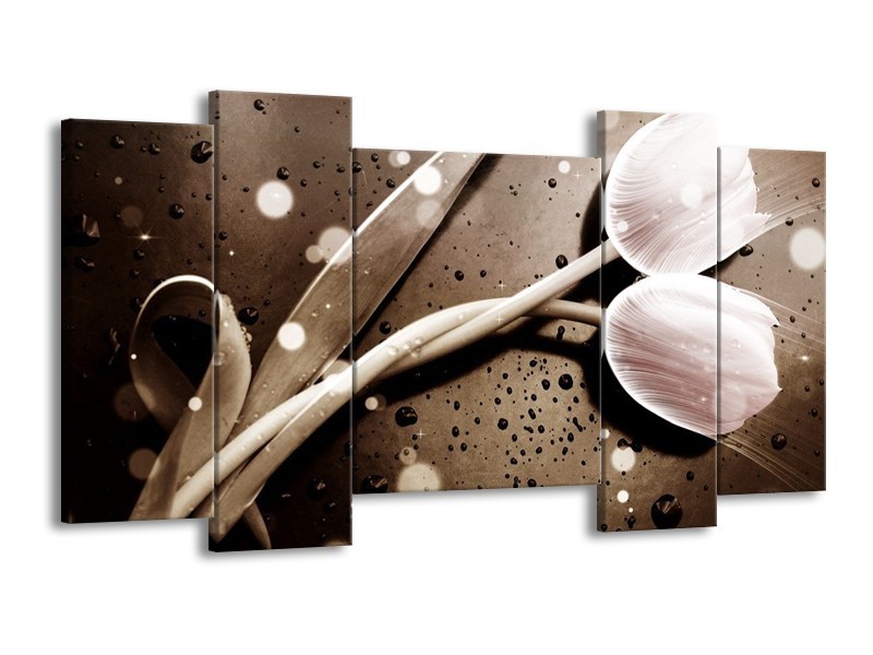 Canvas schilderij Tulp | Wit, Grijs | 120x65 5Luik