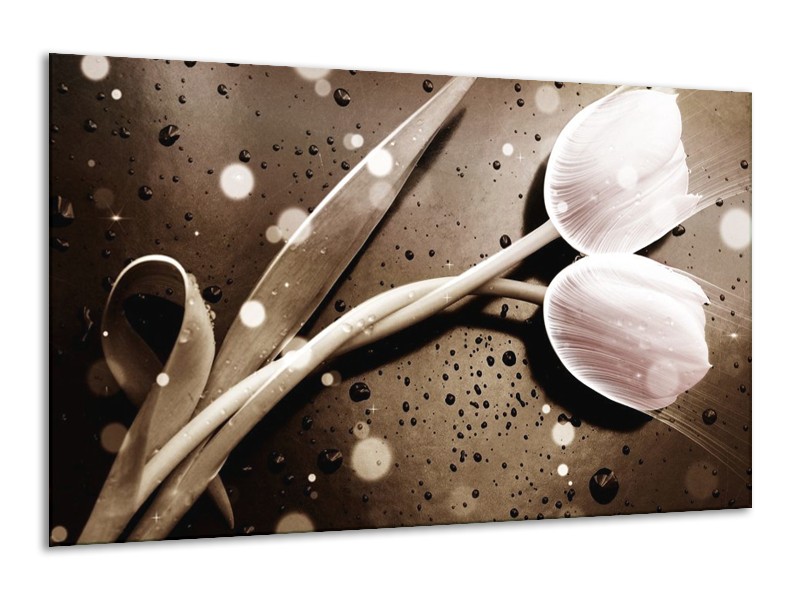 Canvas schilderij Tulp | Wit, Grijs | 120x70cm 1Luik