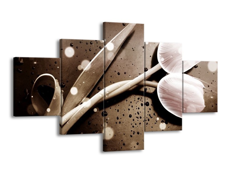 Canvas schilderij Tulp | Wit, Grijs | 125x70cm 5Luik