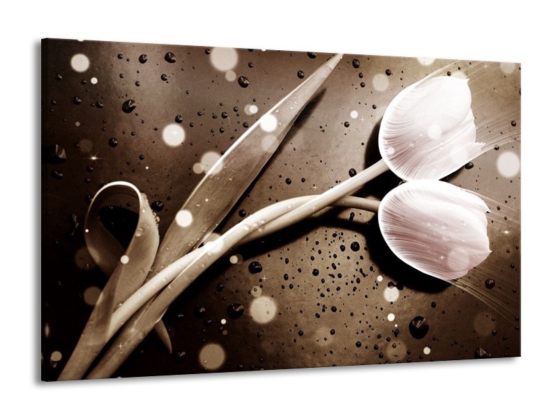 Canvas schilderij Tulp | Wit, Grijs | 140x90cm 1Luik