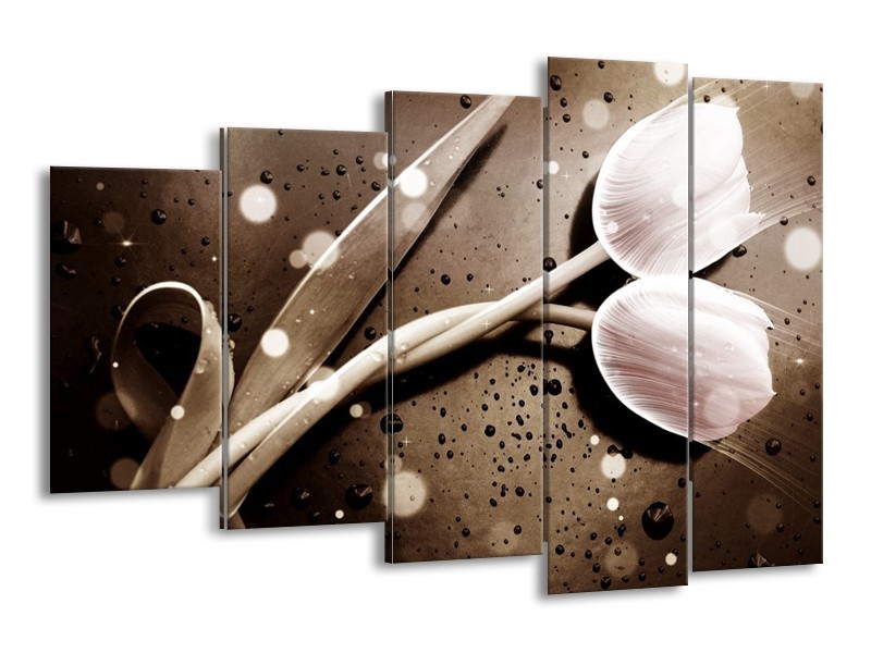 Canvas schilderij Tulp | Wit, Grijs | 150x100cm 5Luik