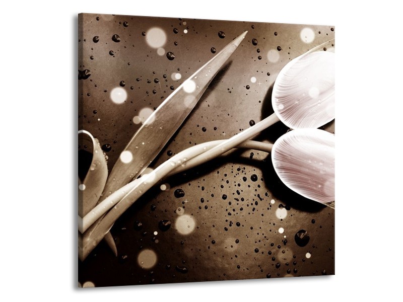 Canvas schilderij Tulp | Wit, Grijs | 50x50cm 1Luik