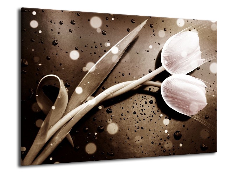 Canvas schilderij Tulp | Wit, Grijs | 70x50cm 1Luik