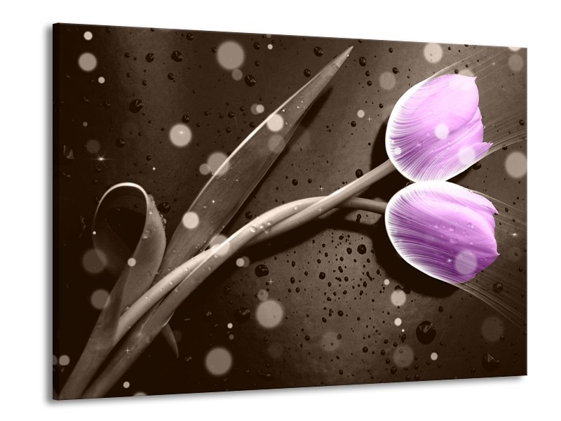 Canvas schilderij Tulp | Paars, Grijs | 100x70cm 1Luik