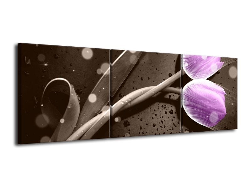 Canvas schilderij Tulp | Paars, Grijs | 120x40cm 3Luik