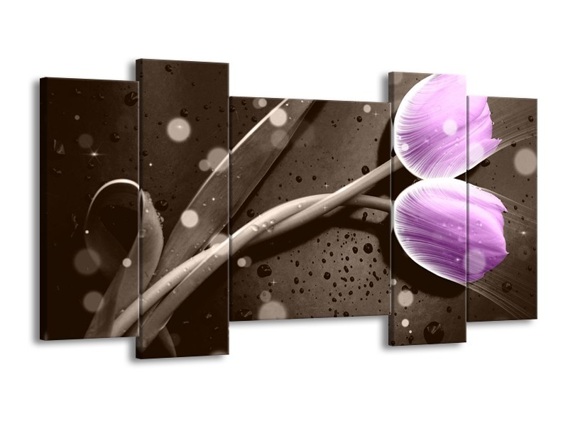 Canvas schilderij Tulp | Paars, Grijs | 120x65 5Luik