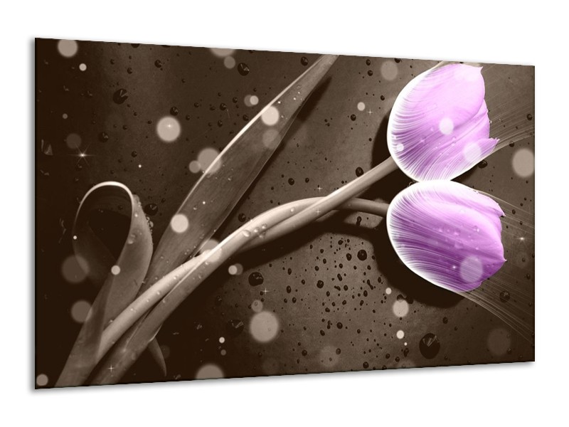 Canvas schilderij Tulp | Paars, Grijs | 120x70cm 1Luik