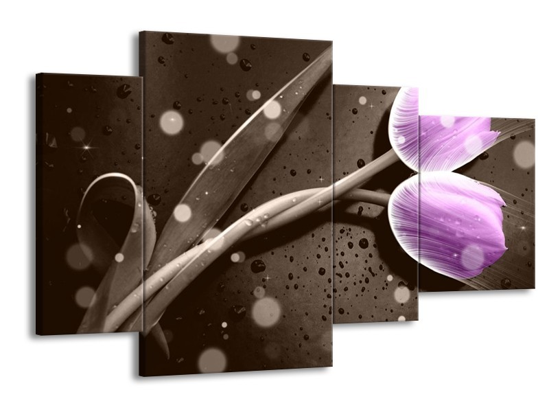 Canvas schilderij Tulp | Paars, Grijs | 120x75cm 4Luik
