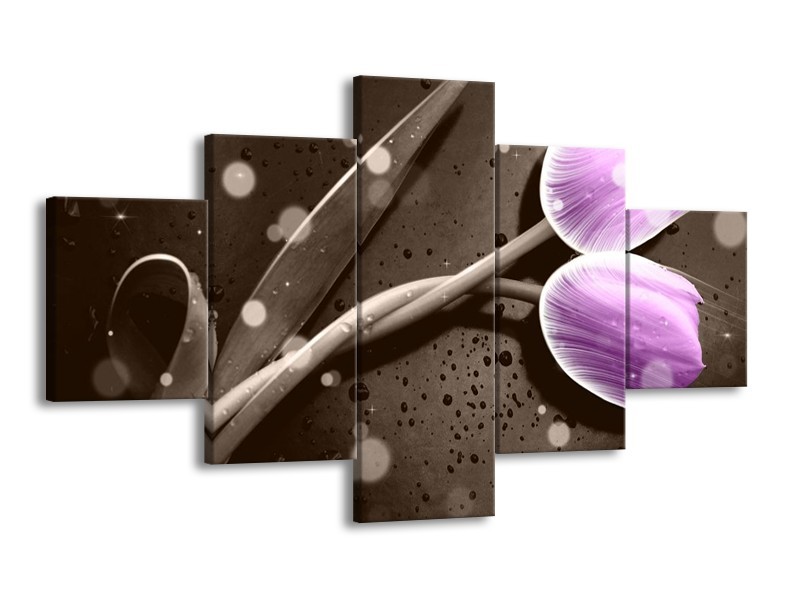 Canvas schilderij Tulp | Paars, Grijs | 125x70cm 5Luik
