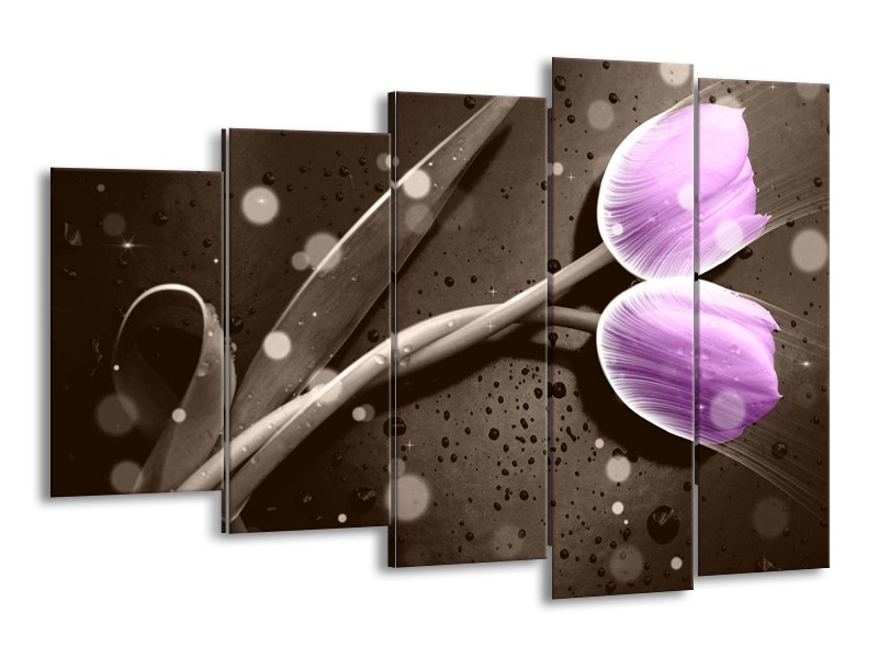 Canvas schilderij Tulp | Paars, Grijs | 150x100cm 5Luik