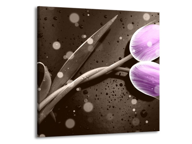 Canvas schilderij Tulp | Paars, Grijs | 50x50cm 1Luik