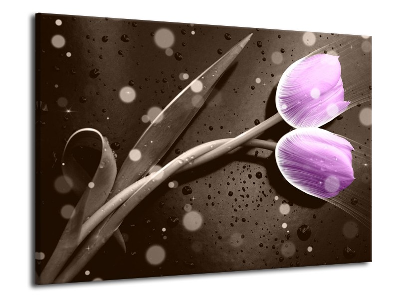 Canvas schilderij Tulp | Paars, Grijs | 70x50cm 1Luik