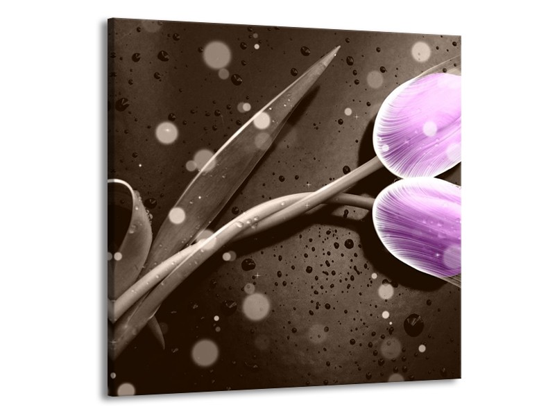 Canvas schilderij Tulp | Paars, Grijs | 70x70cm 1Luik