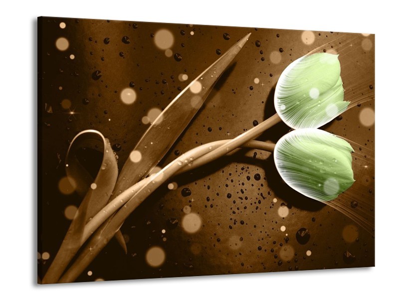 Canvas schilderij Tulp | Groen, Bruin | 100x70cm 1Luik