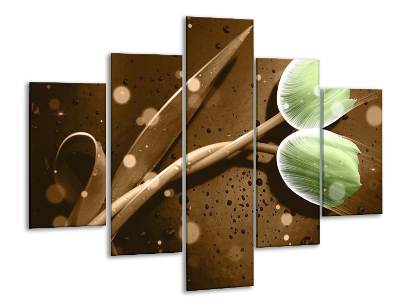 Canvas schilderij Tulp | Groen, Bruin | 100x70cm 5Luik