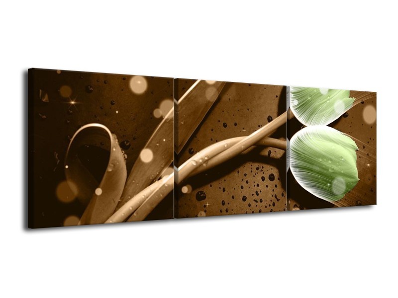 Canvas schilderij Tulp | Groen, Bruin | 120x40cm 3Luik