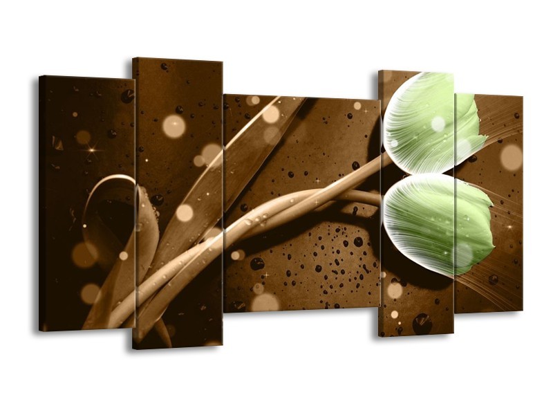 Canvas schilderij Tulp | Groen, Bruin | 120x65 5Luik