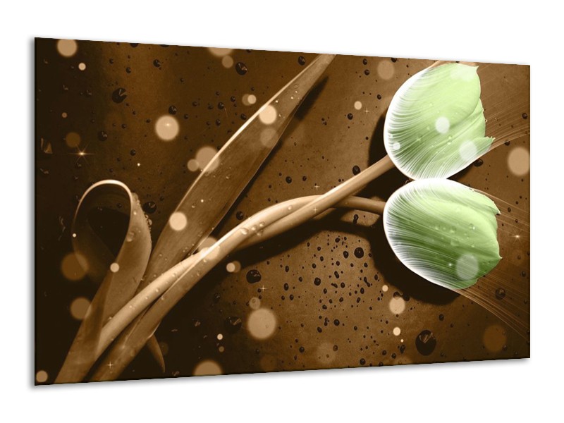 Canvas schilderij Tulp | Groen, Bruin | 120x70cm 1Luik