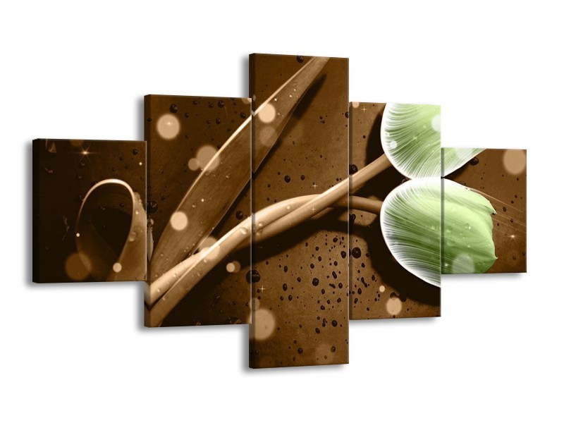 Canvas schilderij Tulp | Groen, Bruin | 125x70cm 5Luik