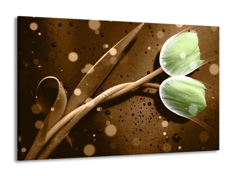 Canvas schilderij Tulp | Groen, Bruin | 140x90cm 1Luik